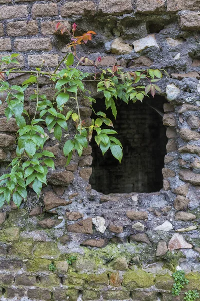Vintage ruins in old Garden, Lazio, Italy. — Zdjęcie stockowe