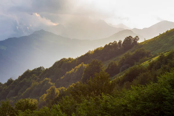 Prachtig berglandschap met bos in Kaukasus — Stockfoto