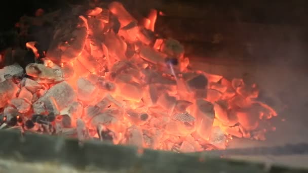 Uitzicht op open haard met brandend hout en kolen — Stockvideo