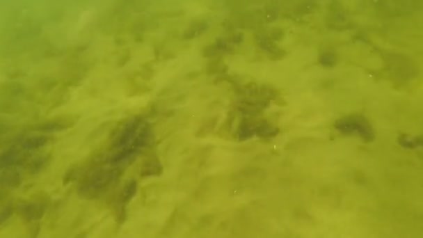 Чоловік біжить і занурюється під воду — стокове відео