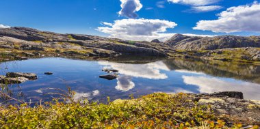 Barents sahil şeridinde güzel kutup yaz manzarası.