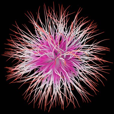 Siyah zemin üzerindeki bir virüs gibi üç boyutlu nesnenin üç boyutlu çizimi.