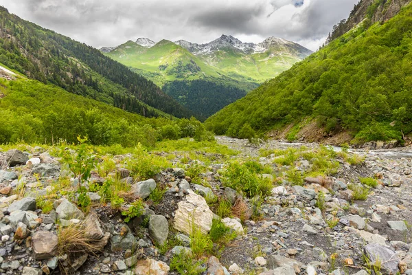 Hermoso paisaje de montaña con bosque en las montañas del Cáucaso. —  Fotos de Stock