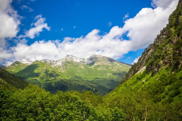 Hermoso paisaje de montaña con bosque en las montañas del Cáucaso. —  Fotos de Stock