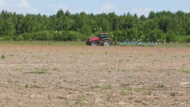 Agriculture tractor ploughing soil sping field — Stock Video