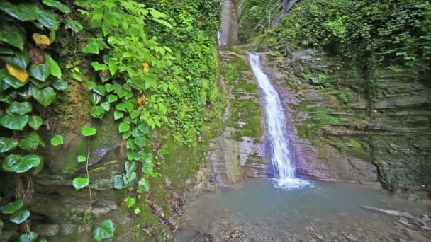 Rio na floresta das montanhas do Cáucaso, cachoeira perto do lago Ritsa, Abcásia, Geórgia — Vídeo de Stock