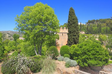 Alhambra Bahçe, Granada, Endülüs, İspanya