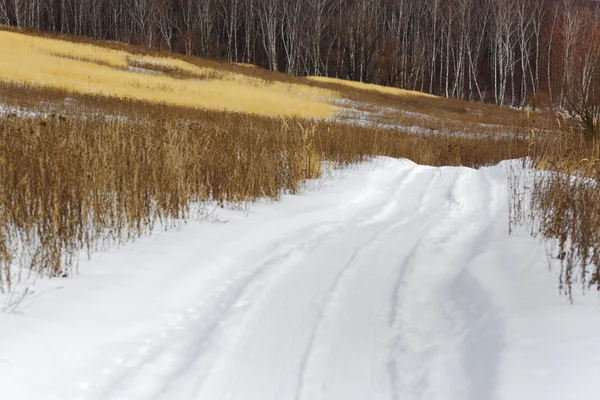 Estrada na floresta de inverno, neve branca, árvore, campo — Fotografia de Stock