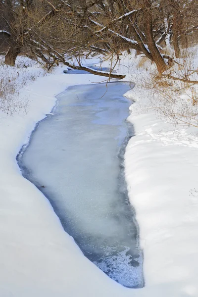 Rio em floresta de inverno, gelo, neve, paisagem, natureza — Fotografia de Stock