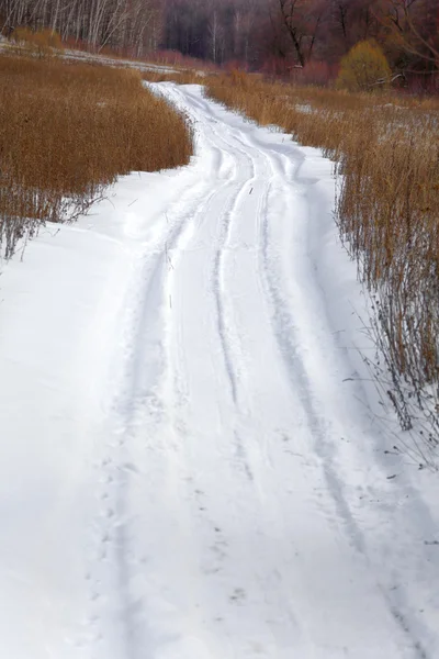 Estrada na floresta de inverno, neve branca, árvore, campo — Fotografia de Stock