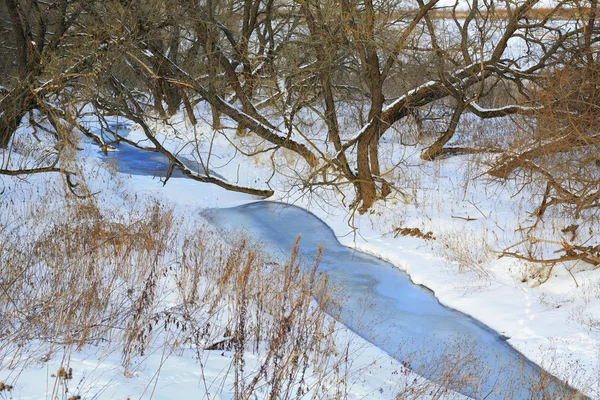 Río en el bosque de invierno, hielo, nieve, paisaje, naturaleza — Foto de Stock