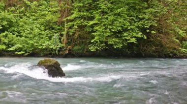 Kafkas Dağları orman, çevre göl Ritsa, Abhazya, Gürcistan nehirde