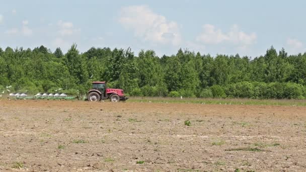 Agricultura tractor arado tierra sping campo — Vídeo de stock