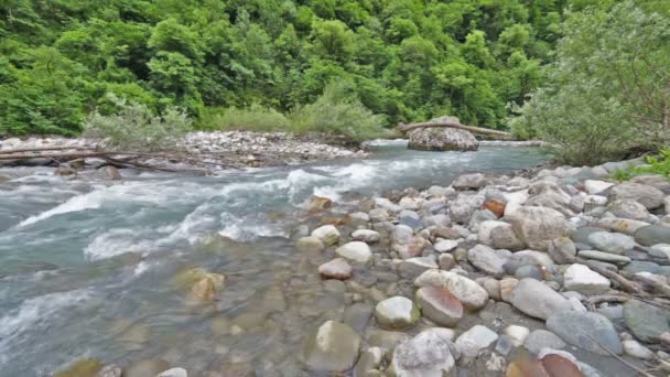 Kafkas Dağları orman, çevre göl Ritsa, Abhazya, Gürcistan nehirde — Stok video