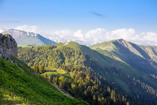 Green hills and mountains — Stock Photo, Image