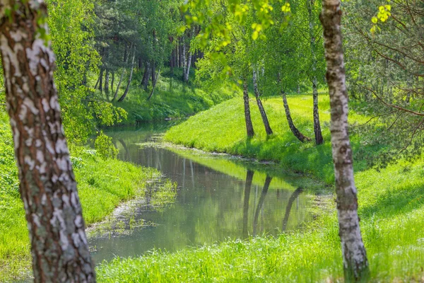 Río bosque — Foto de Stock