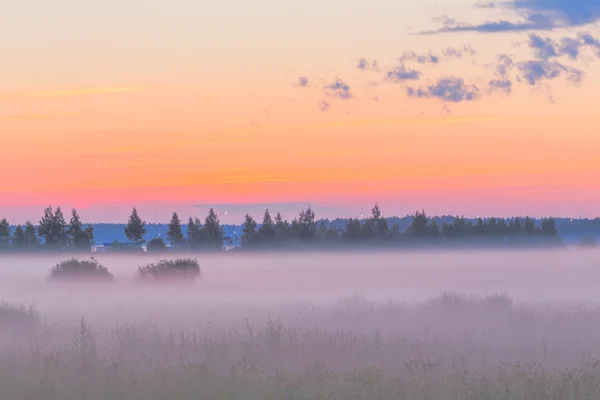 Niebla en los campos — Foto de Stock