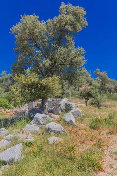 Παλαιά ερείπια — Φωτογραφία Αρχείου