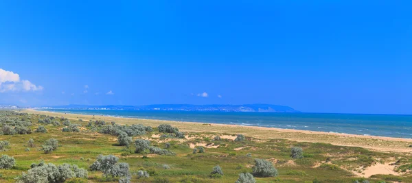 Deniz kıyısı havadan görünümü sae sahil yaz mavi gökyüzü — Stok fotoğraf