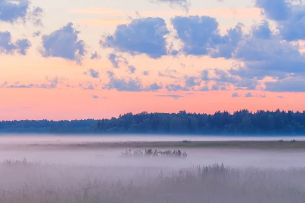 Nebbia nei campi paesaggio rosa cielo nebbia mattina — Foto Stock