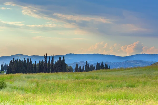 Paisaje vista del valle de hierba con montañas — Foto de Stock