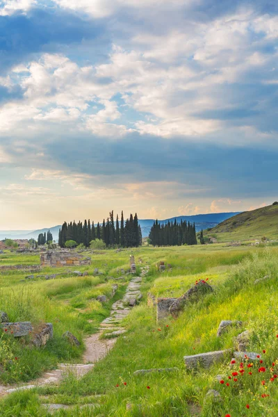 Vista de paisagem de vale de grama com montanhas — Fotografia de Stock