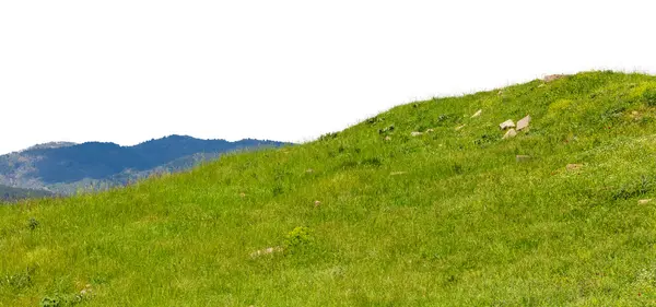 Yeşil tepe çim izole — Stok fotoğraf