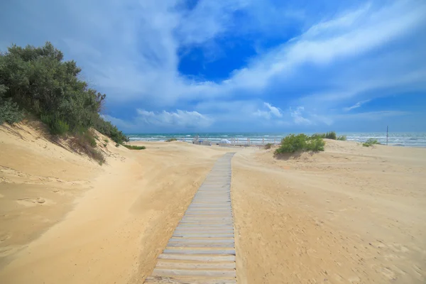 Dunas de arena marina con sendero playa Anapa Rusia Imágenes De Stock Sin Royalties Gratis