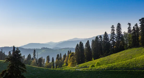 Zöld dombok és hegyek a panoráma táj nyári nap — Stock Fotó