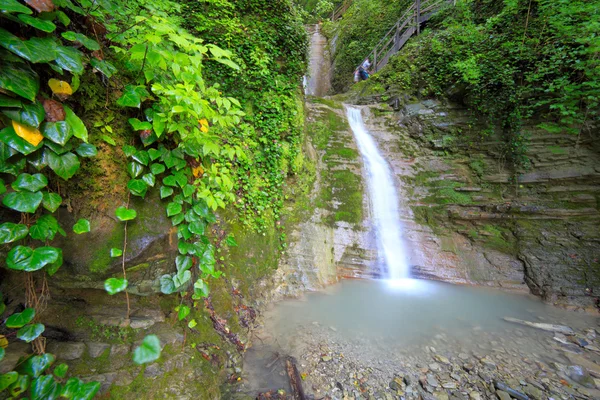Cachoeira nas montanhas floresta rio água natureza verde — Fotografia de Stock