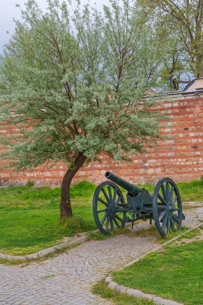 Vecchio canone — Foto Stock