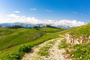 Yeşil tepeler ve dağlar
