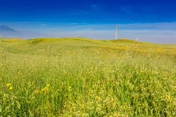 Вид на долину травы — стоковое фото