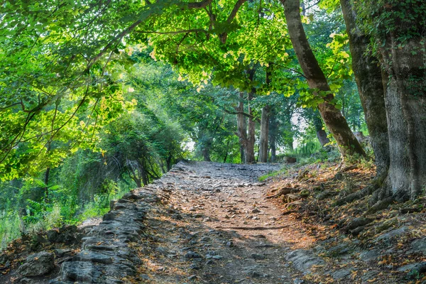 Viejo camino de piedra en el parque — Foto de Stock