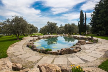 Dekoratif gölet görünümünü