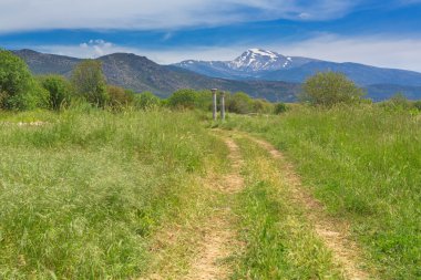 Grass valley sahne görünümünü