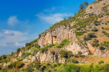 Yeşil çalılar ile büyük kaya