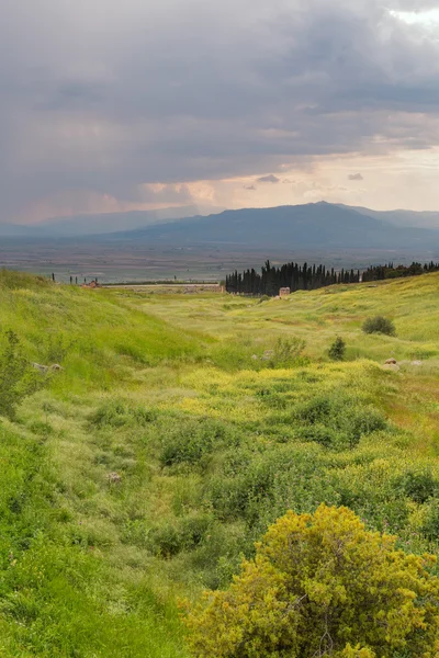 Scenérie pohled grass Valley s horami — Stock fotografie