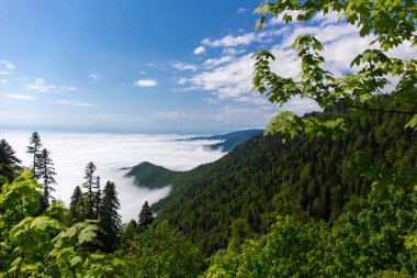 Bulutların üzerindeki dağlar