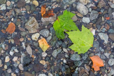 Çakıl taşları crystall su