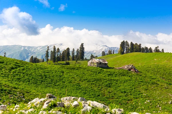 Colline verdi e montagne — Foto Stock