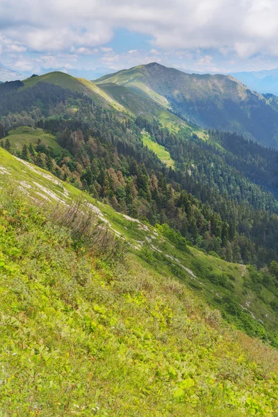 Bela paisagem com colinas e montes — Fotografia de Stock