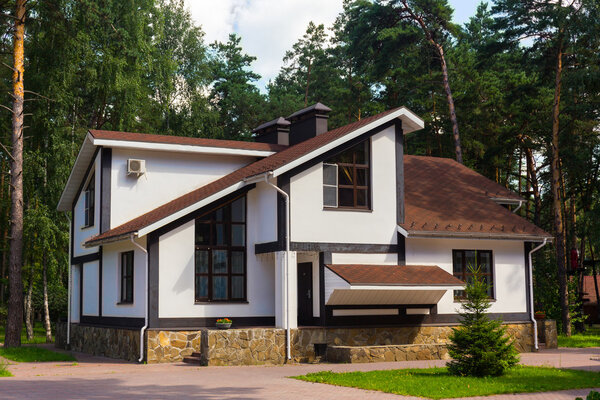 Luxury house in the forest