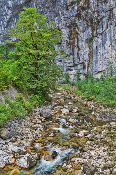 Rio da montanha que flui pelo desfiladeiro — Fotografia de Stock