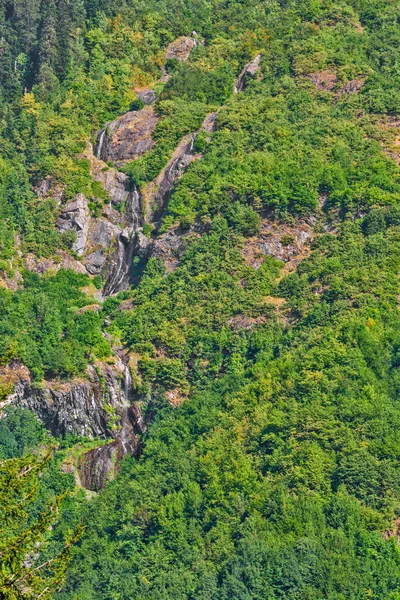 Wooded mountainside with waterfalls