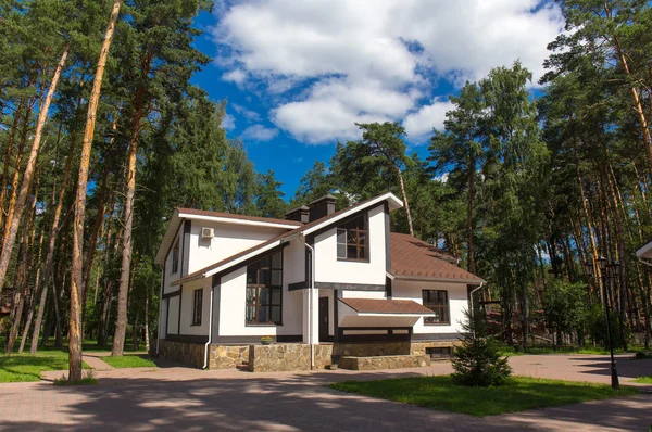 Ormanın içinde lüks ev