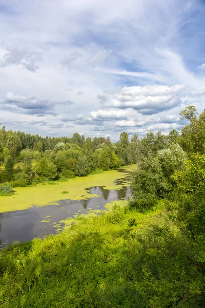 Bosque río vista superior — Foto de Stock