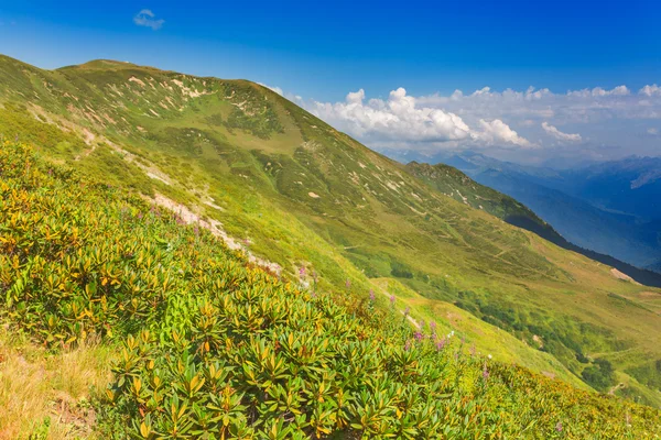 Hermoso paisaje con colinas y mountais —  Fotos de Stock