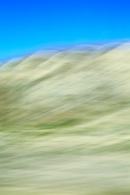 Bulanık renkli parlak doğal arka plan