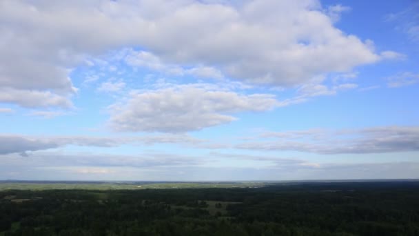 Scenerii lasu i niebo chmury krajobraz ptaka. 4 k timelapse — Wideo stockowe